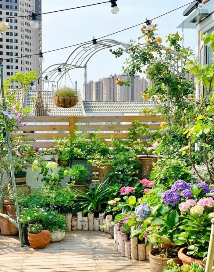 Vì yêu hoa, cô gái xinh như mộng mua ngay căn hộ áp mái để trồng cả vườn hồng trên sân thượng rộng 33m² - Ảnh 7.