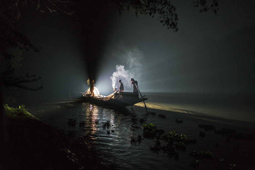 Độc đáo kỹ nghệ bắt cá điêu luyện của “ngư dân 4 chân” ở Bangladesh - Ảnh 3.