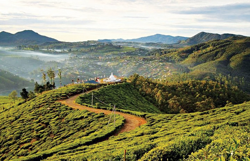 Cõi thiên thai Nuwara Eliya - Ảnh 1.