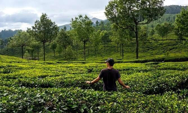 Cõi thiên thai Nuwara Eliya - Ảnh 2.