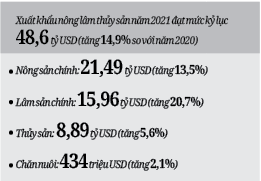 gop/ Nông nghiệp hướng tới những kỳ tích mới - Ảnh 3.