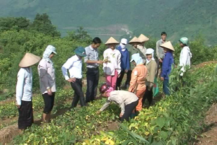 đào tạo nghề cho lao động nông thôn ở thanh hóa