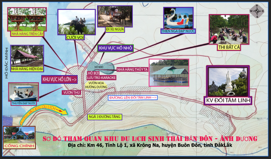 Đắk Lắk: Tiềm lực công ty Ánh Dương, doanh nghiệp đề xuất trả tiền thuê 1.177,7ha đất một lần cho cả thời gian thuê - Ảnh 1.