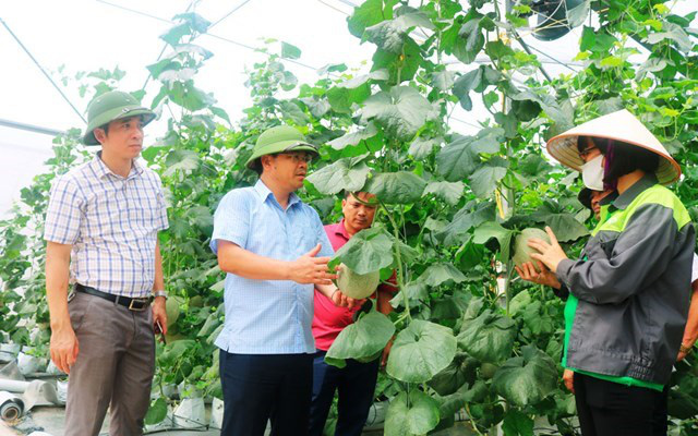 Huyện Yên Dũng (Bắc Giang): Bứt phá trong xây dựng nông thôn mới