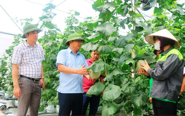 Huyện Yên Dũng (Bắc Giang): Bứt phá trong xây dựng nông thôn mới - Ảnh 1.