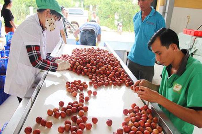 Huyện Lục Ngạn: Đổi thay nhờ xây dựng nông thôn mới - Ảnh 1.