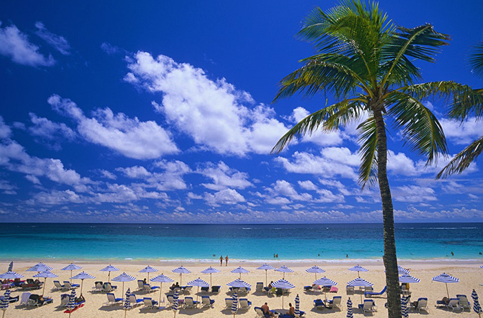 Tour lãng mạn với những bãi biển hồng Bermuda, kết hợp khám phá “Tam giác quỷ Bermuda” hút khách trở lại - Ảnh 3.