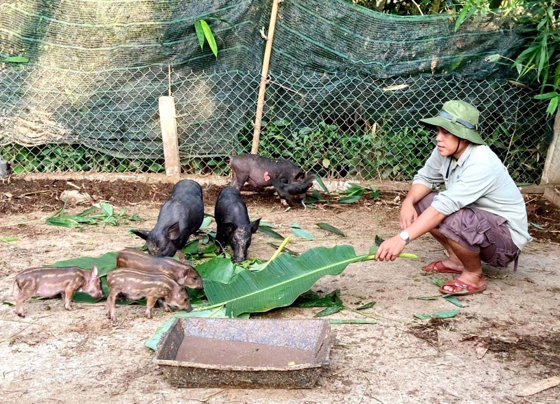 Xây dựng nông thôn mới ở Quảng Nam: Đổi thay ở huyện miền núi Nam Giang - Ảnh 5.