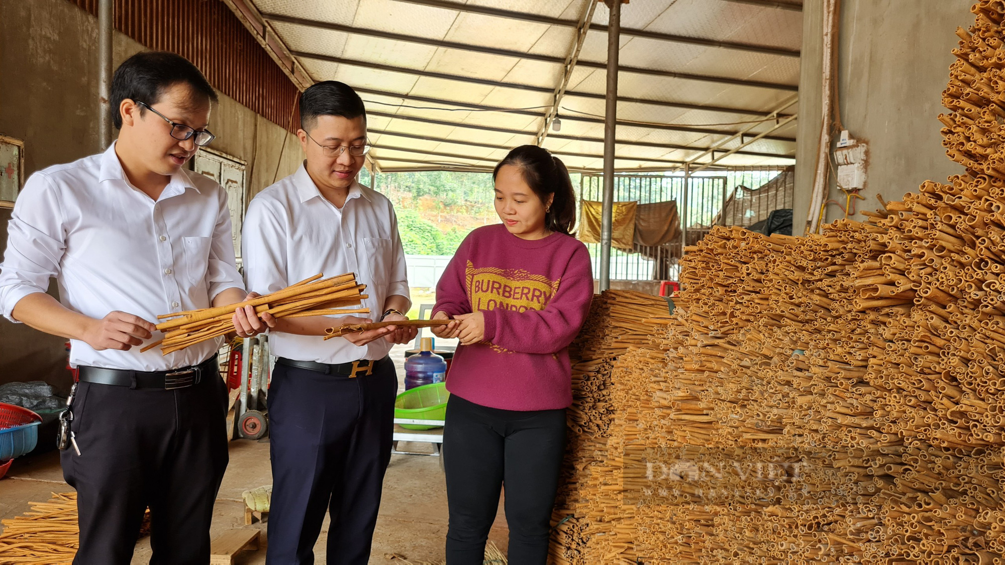 Agribank Chi nhánh Bắc Yên Bái: Đồng hành cùng người dân phát triển kinh tế - Ảnh 1.