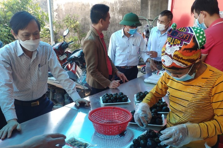 Hội Nông dân tỉnh Thanh Hóa: Giúp nông dân phát triển nông nghiệp an toàn, nông nghiệp hữu cơ - Ảnh 3.