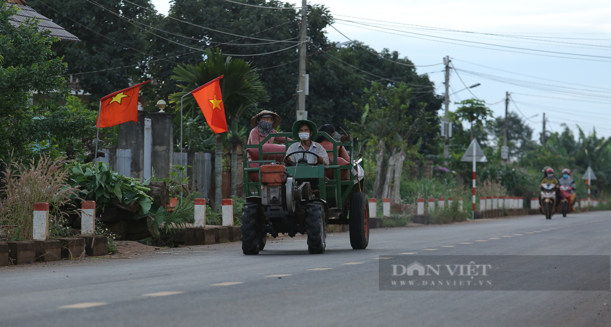 Mùa cà phê chín đỏ tại Đắk Lắk - Ảnh 7.