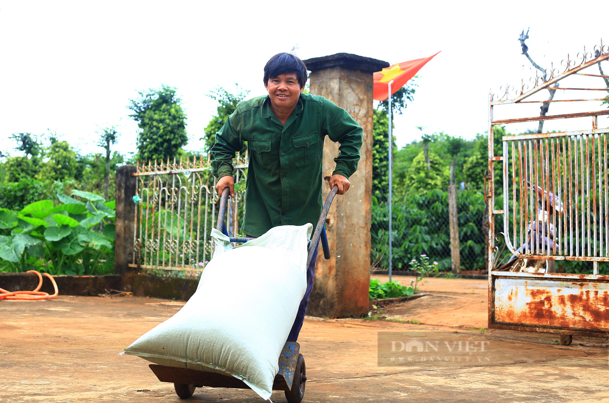 Mùa cà phê chín đỏ tại Đắk Lắk - Ảnh 9.