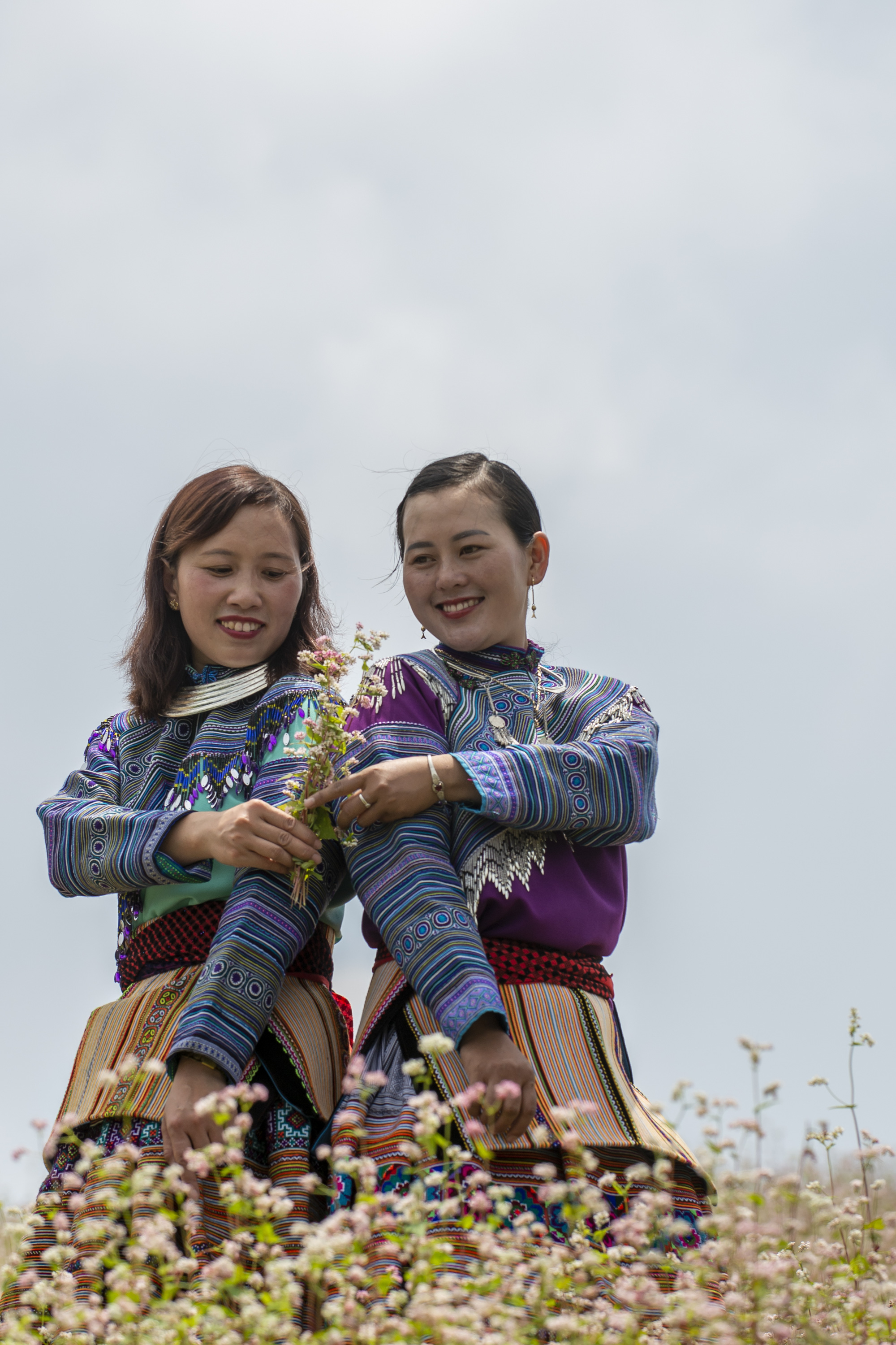 Lào Cai: Sắp diễn ra Lễ hội mùa đông Bắc Hà năm 2021, trình diễn màn đua ngựa hiếm có  - Ảnh 4.