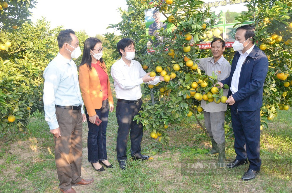 Hội Nông dân tỉnh Nghệ An: Tìm giải pháp thúc đẩy nông dân ứng dụng công nghệ cao vào sản xuất   - Ảnh 2.