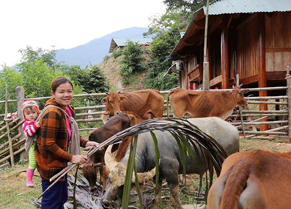 Hành trình &quot;cõng&quot; tín dụng chính sách của Chính phủ lên nơi “ba không, một có” ở miền Tây tỉnh Nghệ An - Ảnh 3.