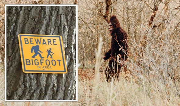 4 tuyên bố thú vị về quái vật Bigfoot, chúng ta đã biết gì về sinh vật này? - Ảnh 1.