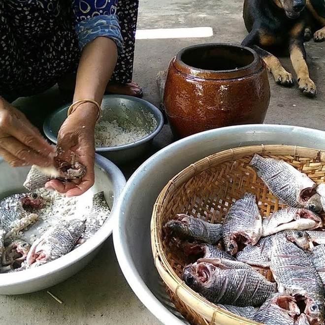 Sợ hãi đến nôn mửa với những đặc sản lúc nhúc giòi mới được coi là cực phẩm - Ảnh 4.