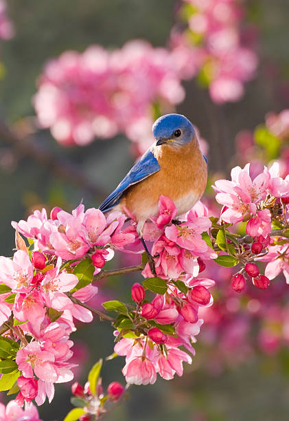 Cuối năm Tân Sửu, người sinh tháng Âm lịch này càng làm việc chăm chỉ càng thu hoạch lớn - Ảnh 3.