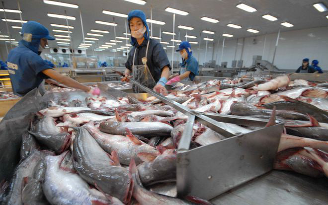 Lệnh 248 và 249 của Trung Quốc có "làm khó" doanh nghiệp xuất khẩu thủy sản Việt Nam?