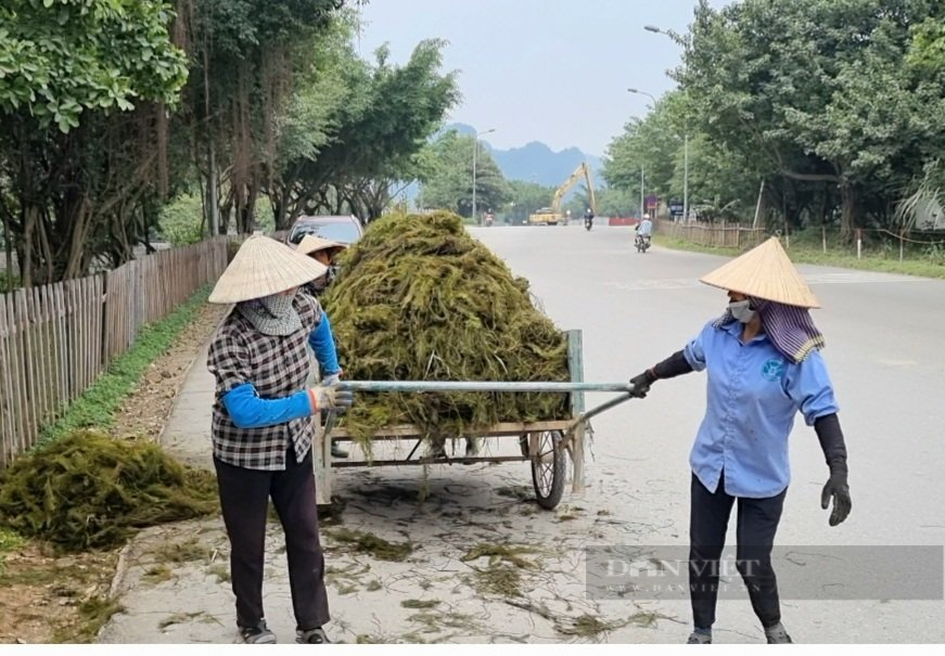 Tiêu chí đánh giá an toàn phòng, chống dịch Covid-19 tại Ninh Bình - Ảnh 3.