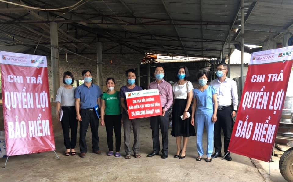 Bảo hiểm Agribank chi trả quyền lợi bảo hiểm vật nuôi tại Ba Vì, Hà Nội - Ảnh 1.