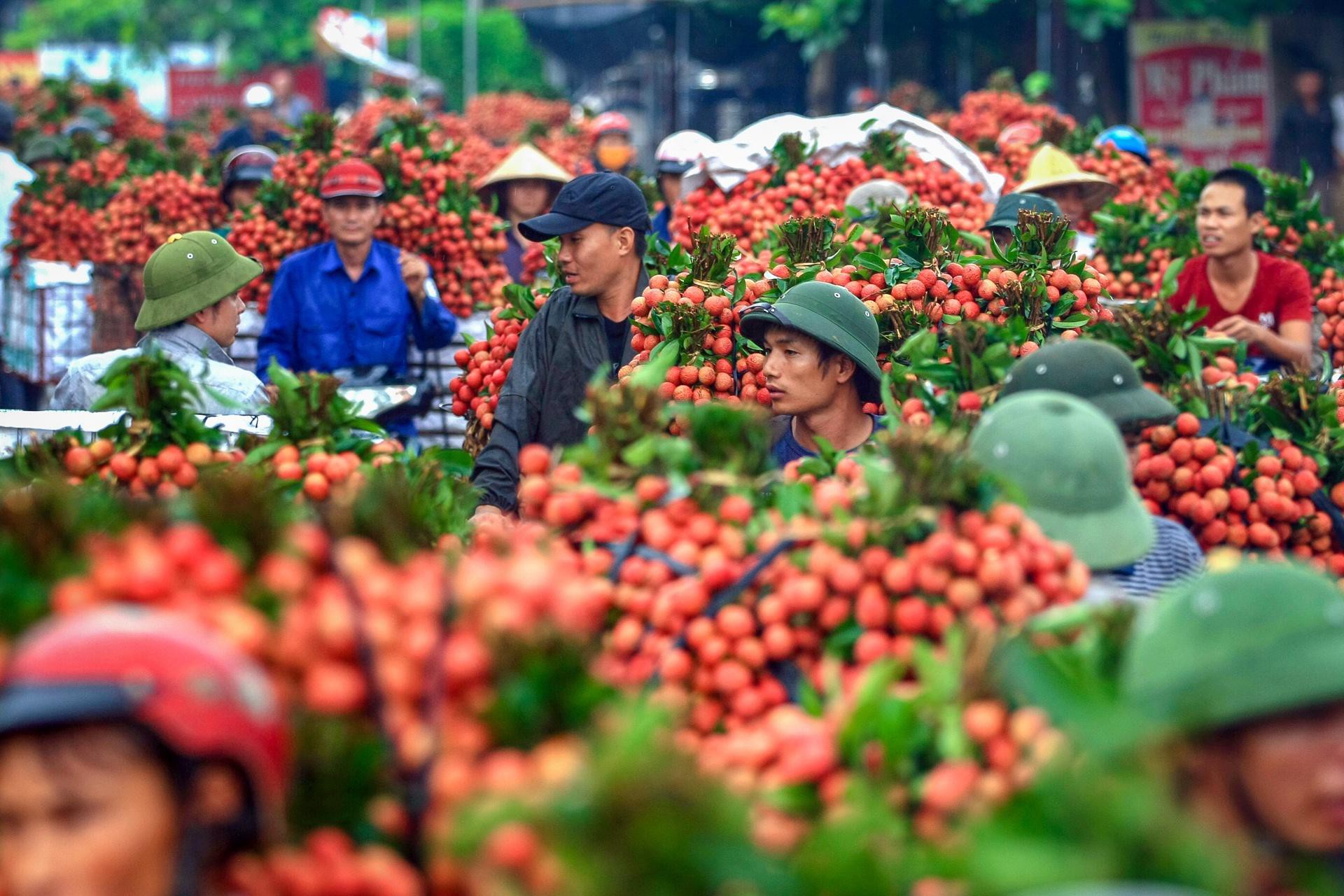 Hải Dương bán nông sản trên chợ online Alibaba, Lazada, Sendo - Ảnh 1.