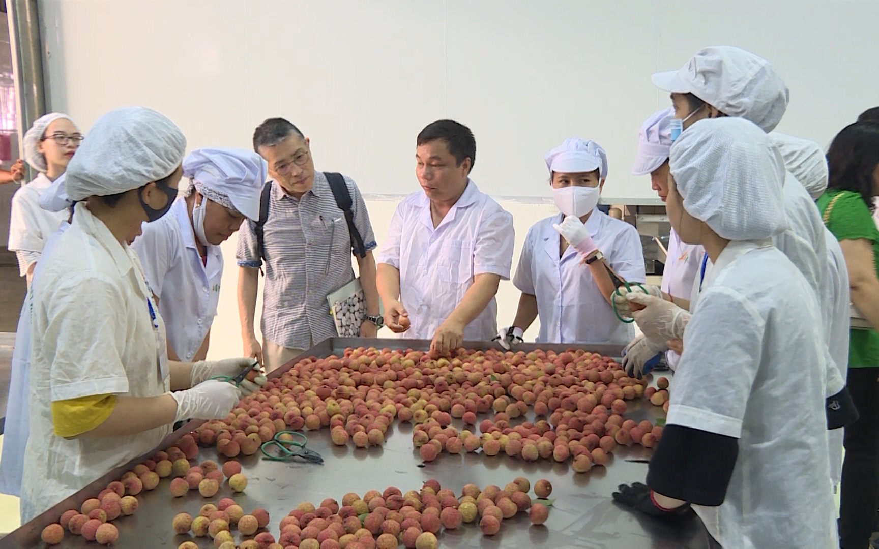 Hải Dương: Sở hữu thứ này nhiều nhất cả nước, không có nó khó xuất khẩu vải thiều sang Nhật Bản, là thứ gì? - Ảnh 1.