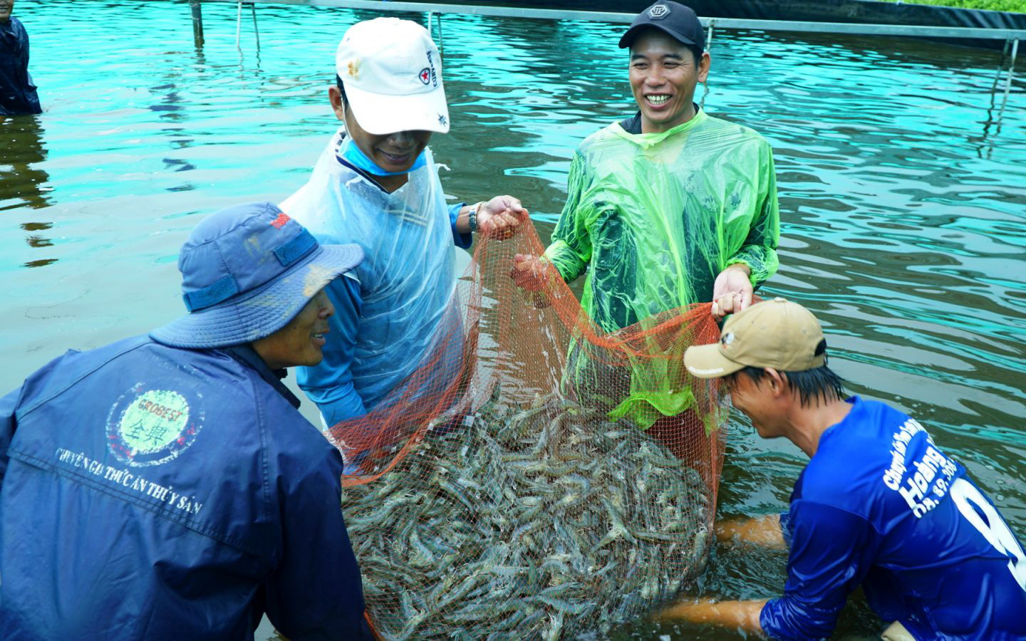 Mỹ, Trung Quốc, Nhật Bản cùng tăng mua loài thủy sản này của Việt Nam, đắt như tôm tươi là có thật