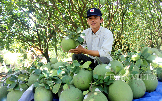 Các loại trái cây, rau củ tươi hoặc đông lạnh được tiêu thụ khá mạnh tại thị trường Đài Loan