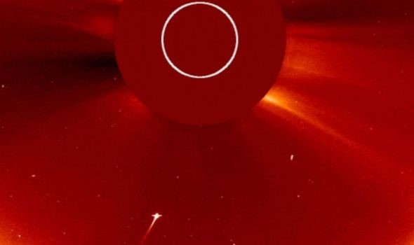 Vệ tinh của NASA cung cấp hình ảnh sao chổi bị Mặt trời nuốt chửng - Ảnh 2.