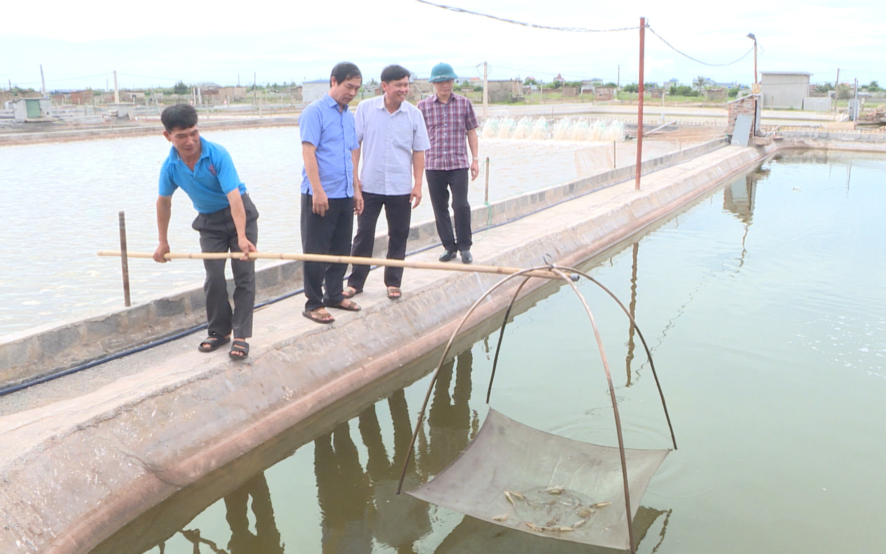 Những cuộc “cách mạng” trên đất lúa kém hiệu quả (Bài 1): Thu tiền tỷ nhờ nuôi tôm thẻ, trồng cây ăn trái