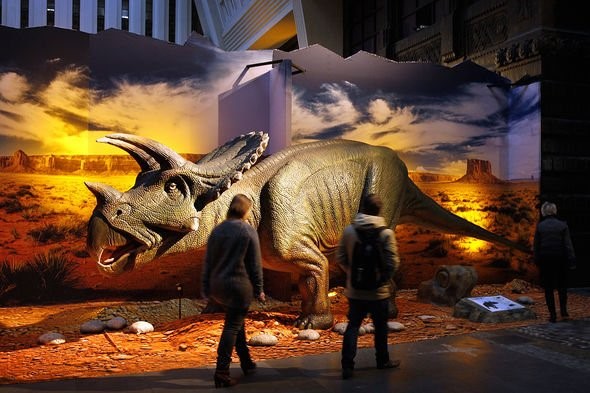 Kinh thánh bác bỏ thuyết tiến hóa khoa học của khủng long? - Ảnh 4.