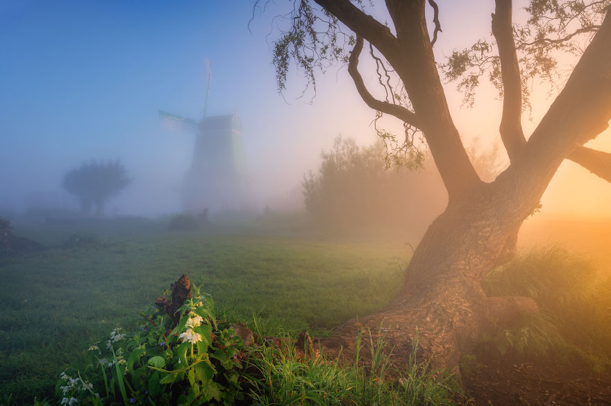 Làng cối xay gió ở Hà Lan chìm trong sương mù huyền ảo như cổ tích - Ảnh 8.
