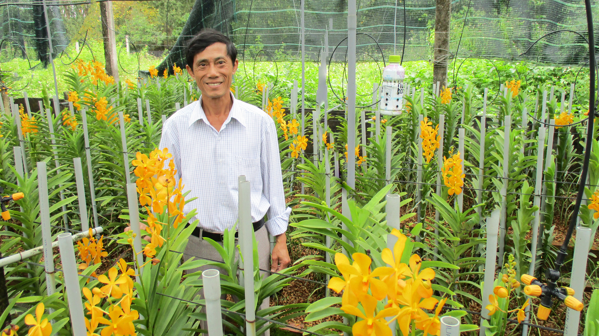 Khơi thông nguồn vốn phục vụ “Tam nông” góp phần đẩy lùi tín dụng đen  - Ảnh 3.