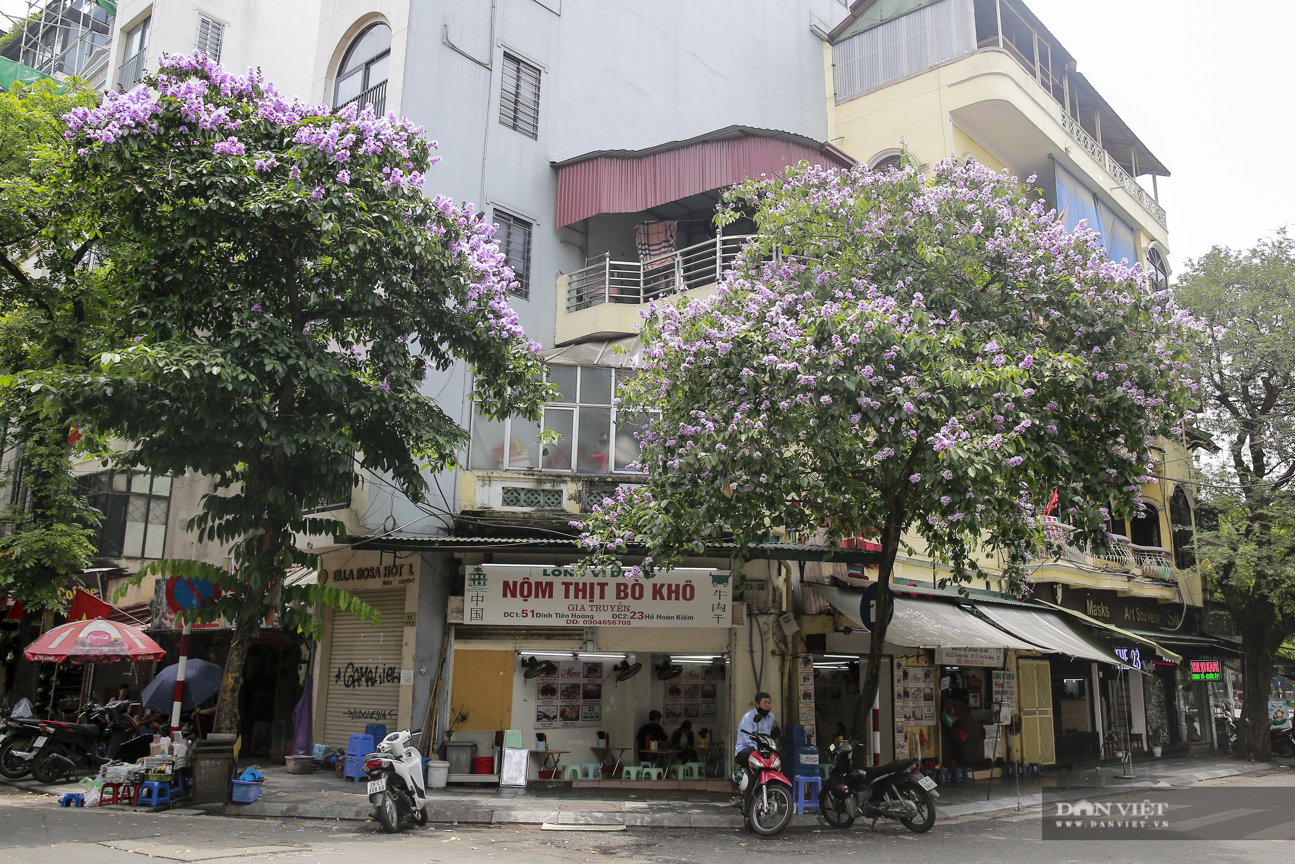 Hoa bằng lăng: loài hoa biểu tượng của sự thủy chung nở rộ khắp đường phố Hà Nội - Ảnh 11.