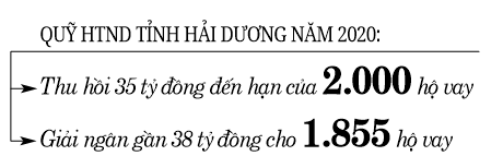 Rót vốn cho nông dân trồng cam đường, cà rốt sạch - Ảnh 4.