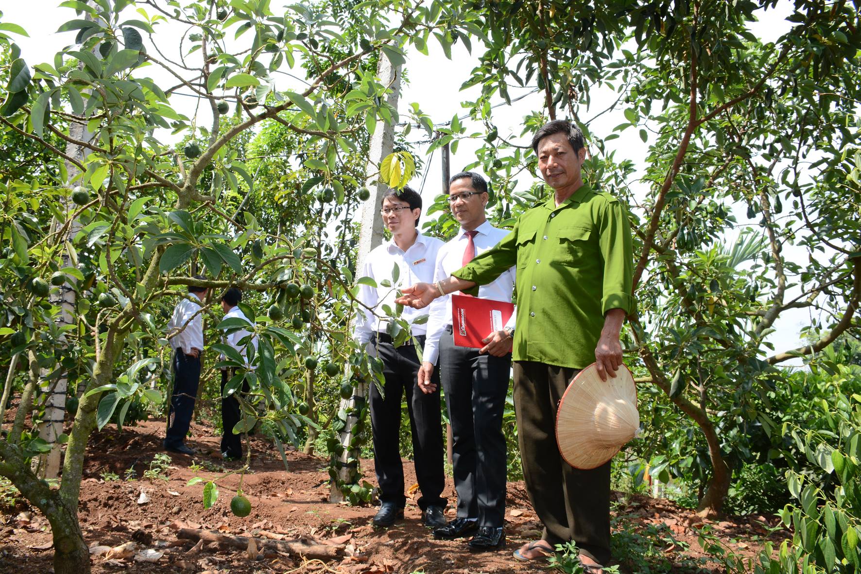 Khơi thông nguồn vốn phục vụ &quot;Tam nông&quot;, góp phần đẩy lùi tín dụng đen  - Ảnh 2.