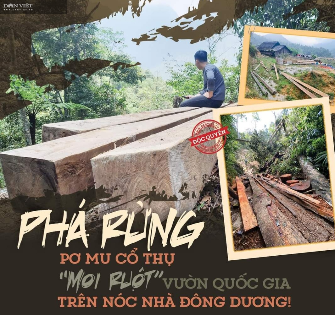 Chủ tịch UBND tỉnh Lào Cai nói vụ phá rừng Hoàng Liên: “Sai phạm rõ ràng, xử lý nghiêm, không bao che”! - Ảnh 1.