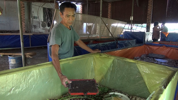Một ông nông dân tỉnh Đồng Nai làm giàu nhờ nuôi 2 loài con đặc sản &quot;nhát chết&quot; - Ảnh 1.
