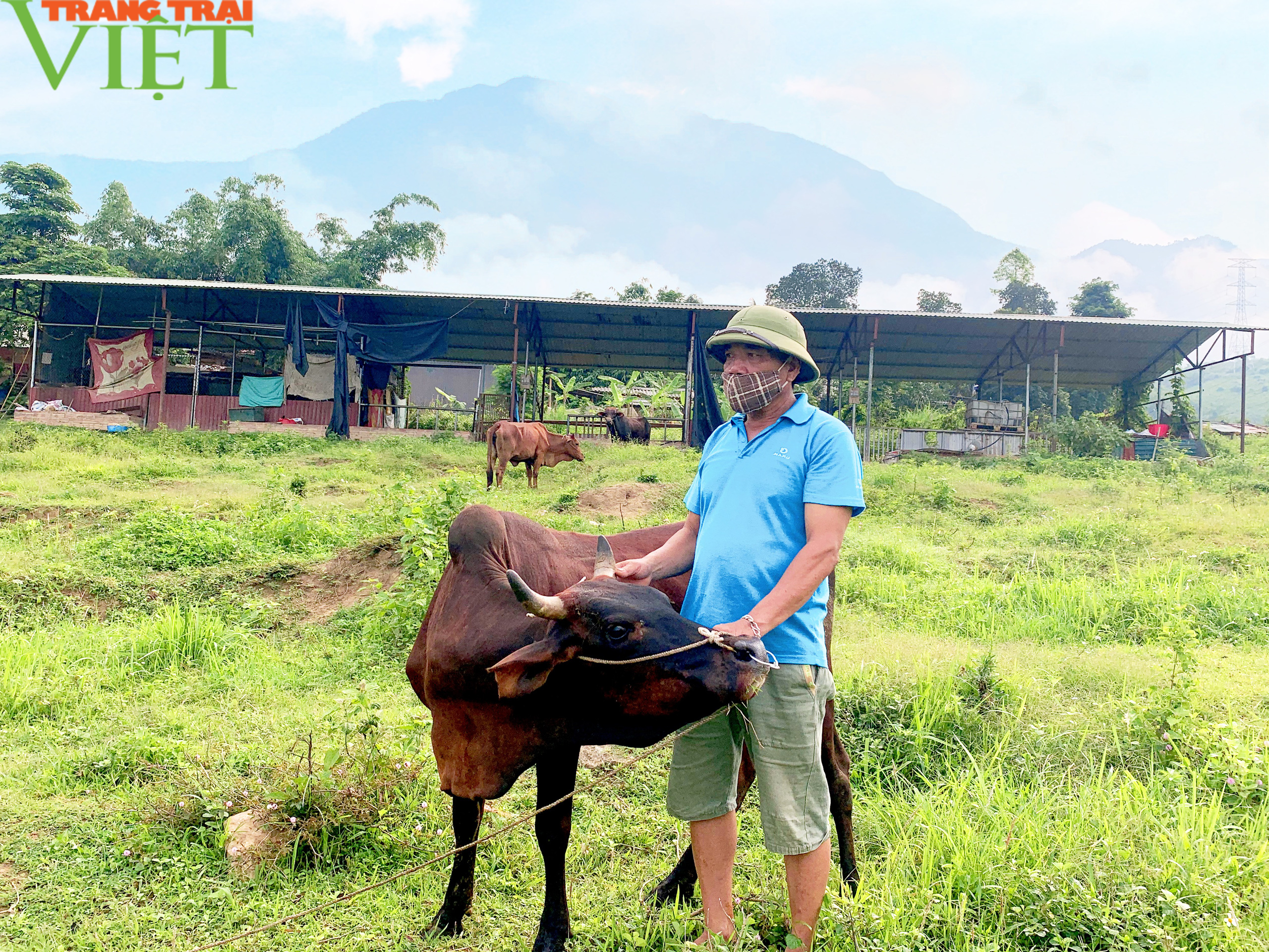 Ông Bóng nổi lên nhờ làm kinh tế giỏi - Ảnh 3.