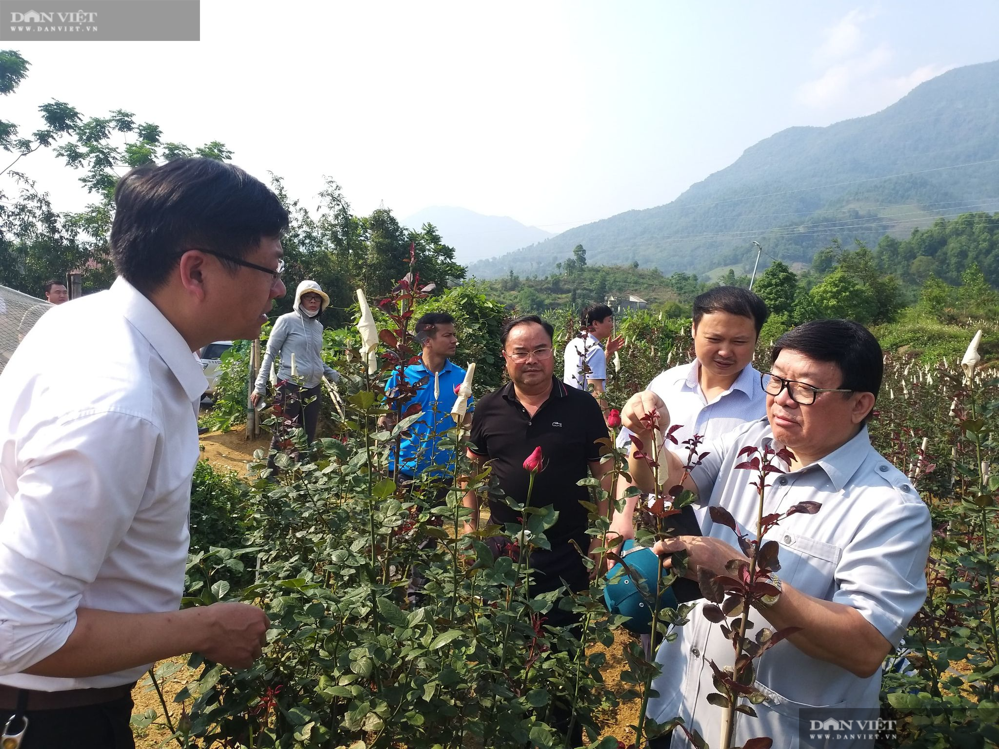 Lai Châu: Nhiều nông dân ở huyện nghèo vùng cao bỗng chốc thành... triệu, tỷ phú nhờ trồng loại hoa, quả đặc sản này - Ảnh 3.