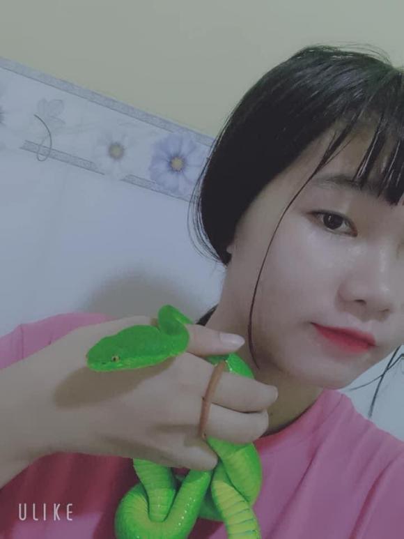 Cô gái Việt nuôi hàng loạt rắn làm... thú cưng - Ảnh 1.