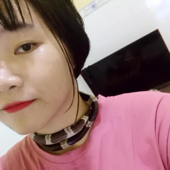 Cô gái Việt nuôi hàng loạt rắn làm... thú cưng - Ảnh 2.