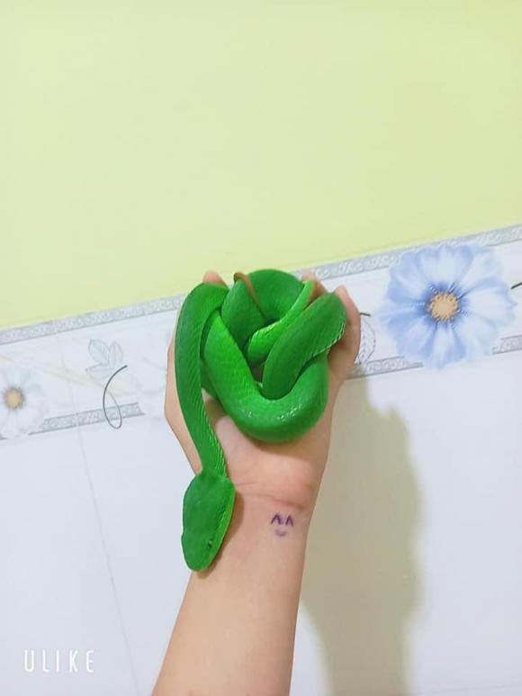 Cô gái Việt nuôi hàng loạt rắn làm... thú cưng - Ảnh 4.