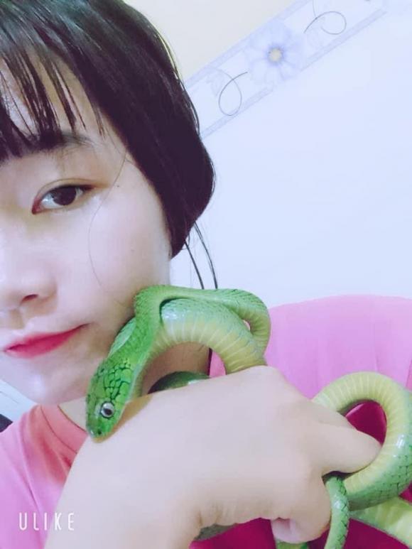 Cô gái Việt nuôi hàng loạt rắn làm... thú cưng - Ảnh 9.