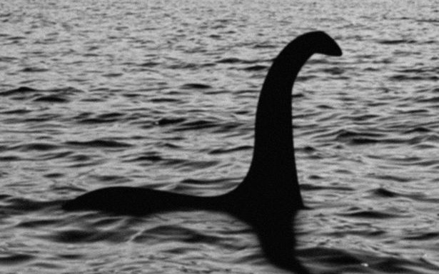 Quái vật hồ Loch Ness thật sự chỉ là “cái ấy” của một con cá voi?