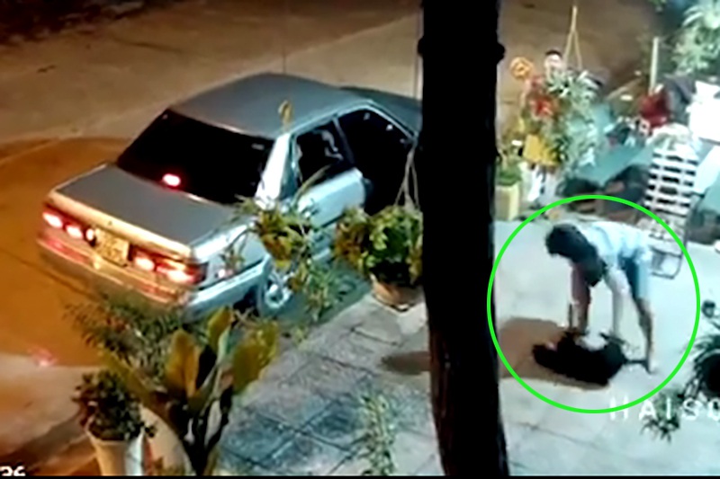 VIDEO: &quot;Cẩu tặc&quot; đi ô tô bắn súng điện trộm chó táo tợn - Ảnh 3.