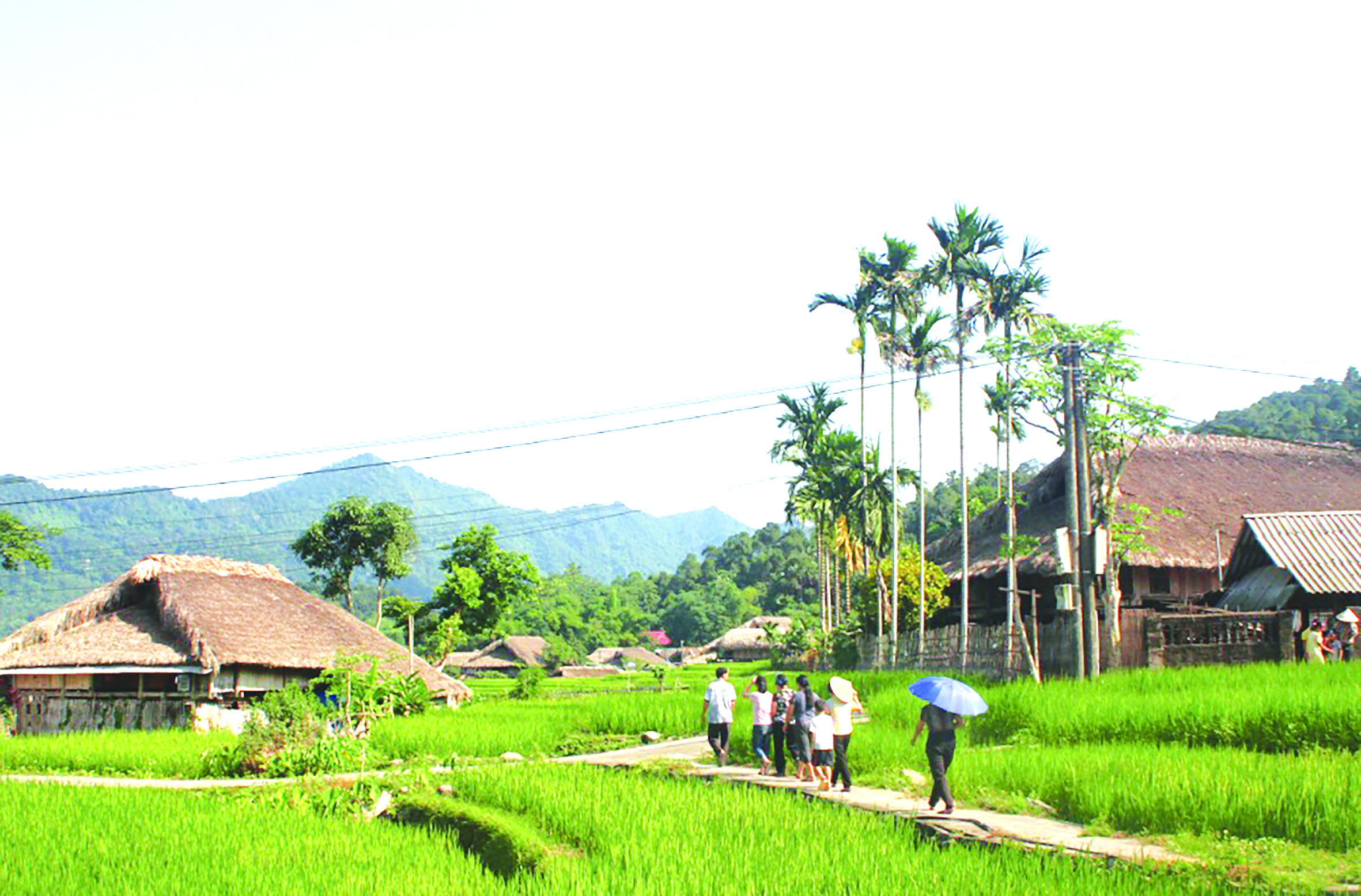 Hà Giang quyết tâm nâng tổng số xã đạt chuẩn NTM lên 30% năm 2021 - Ảnh 2.