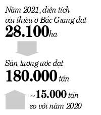 Dịch Covid-19 diễn biến phức tạp ảnh hưởng tiêu thụ nông sản: Bắc Giang kiến nghị Thủ tướng hỗ trợ - Ảnh 2.