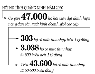 47.000 hộ nông dân sản xuất giỏi ra đời từ 1 phong trào - Ảnh 3.